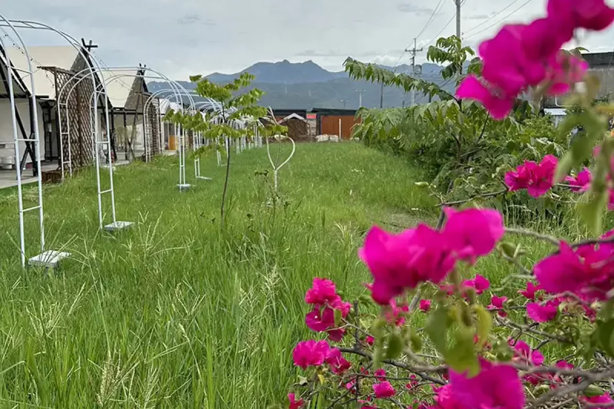 幸福鬆餅站-宜蘭空間設計-宜蘭家具設計-宜蘭花藝設計-宜蘭豪華帳-宜蘭組合屋_露營_室外_05